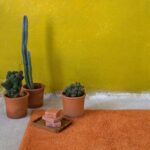ΠΑΤΑΚΙ ΜΠΑΝΙΟΥ HOMEY-DEEP ORANGE NIMA HOME