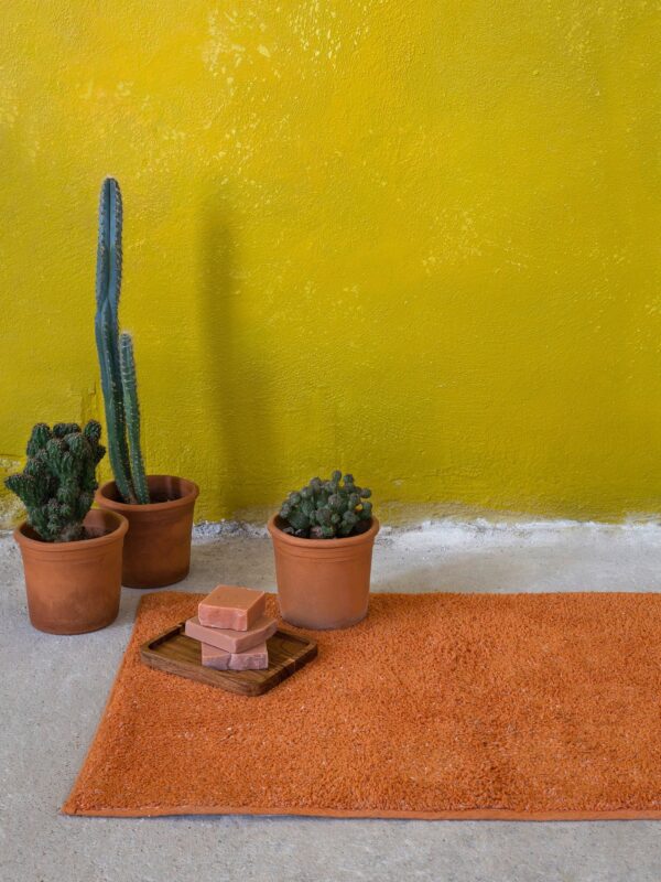 ΠΑΤΑΚΙ ΜΠΑΝΙΟΥ HOMEY-DEEP ORANGE NIMA HOME